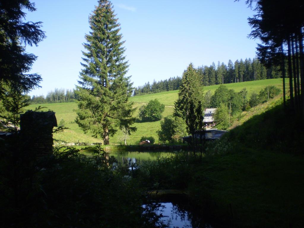 Grundhaeusle * Gutenbach